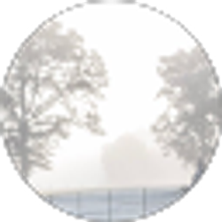 Profile photo of Barry Mcreeks