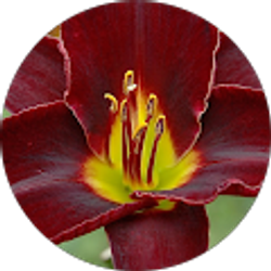 Profile photo of Jennifer Edwards