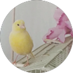 Profile photo of Azita Fallahi