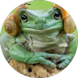 Profile photo of mohammed abdul