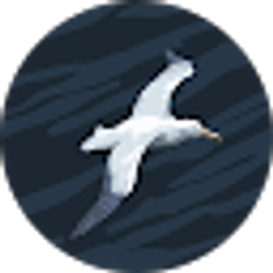 Profile photo of amir saad