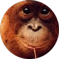 Profile photo of Jay Snell