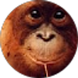 Profile photo of Jay Snell