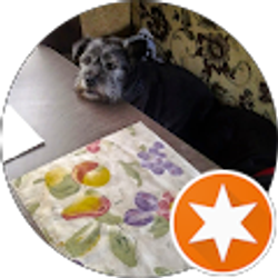 Profile photo of Sheryl McLaughlin