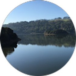 Profile photo of Rita Weikal