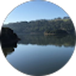 Profile photo of Rita Weikal