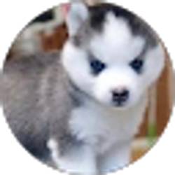 Profile photo of -