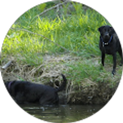 Profile photo of jeff burke