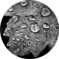 Profile photo of Amanda Washington