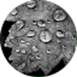 Profile photo of Amanda Washington