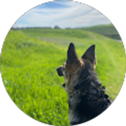 Profile photo of carolina Lujano