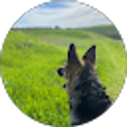 Profile photo of carolina Lujano