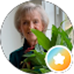 Profile photo of Patty Phillips