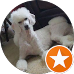 Profile photo of Allison Barrett