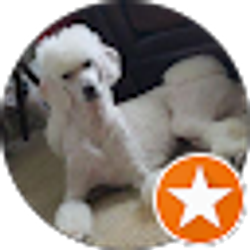 Profile photo of Allison Barrett