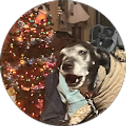 Profile photo of Amanda Delonti