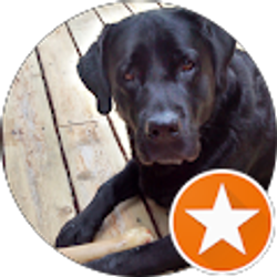 Profile photo of Mike