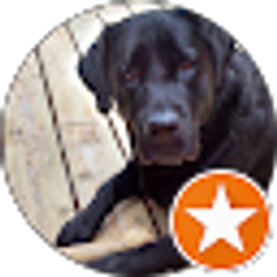 Profile photo of Mike