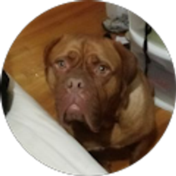 Profile photo of Kris Cox