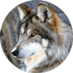 Profile photo of John Henderson