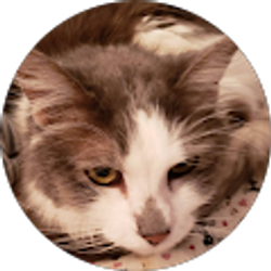 Profile photo of sally lafrenier