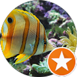 Profile photo of Sosume 1