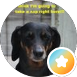 Profile photo of Sydney C