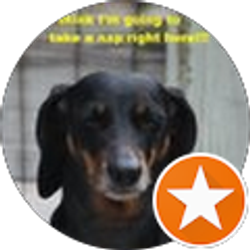 Profile photo of Sydney C