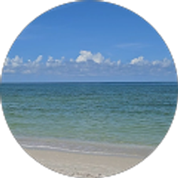 Profile photo of Jennifer Callahan