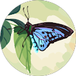 Profile photo of Vanessa Romero Gomez