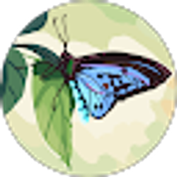 Profile photo of Vanessa Romero Gomez