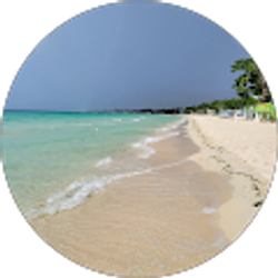 Profile photo of Norman