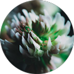 Profile photo of Portia Mendoza