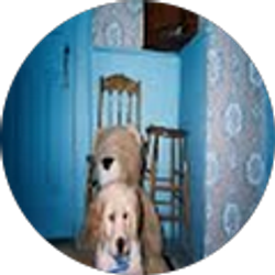 Profile photo of carol priest