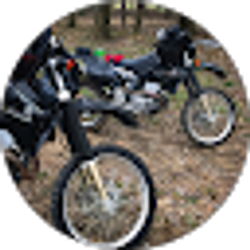 Profile photo of Wild Ride