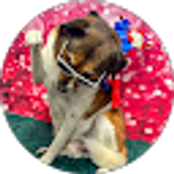 Profile photo of Randall Walter
