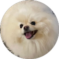 Profile photo of Allison M. Cohen