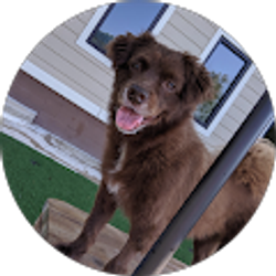 Profile photo of Karen Alexander