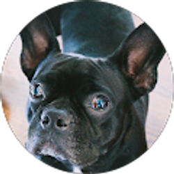 Profile photo of Sam C