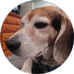 Profile photo of Ron Taucher