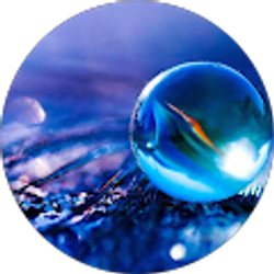 Profile photo of daryl mupupuni