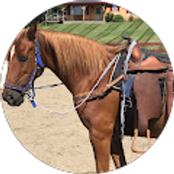 Profile photo of Cody Tarmy