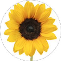 Profile photo of Victoria Coffman