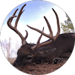 Profile photo of Ray Knight