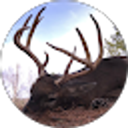 Profile photo of Ray Knight