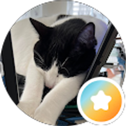 Profile photo of MT
