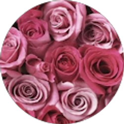 Profile photo of Alaina Lee