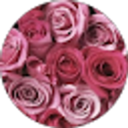 Profile photo of Alaina Lee