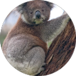 Profile photo of kyle Peach