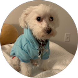 Profile photo of Patty F